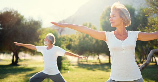 Active Aging Wellness Program